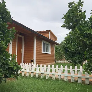  Holiday home The Mussel House Albania